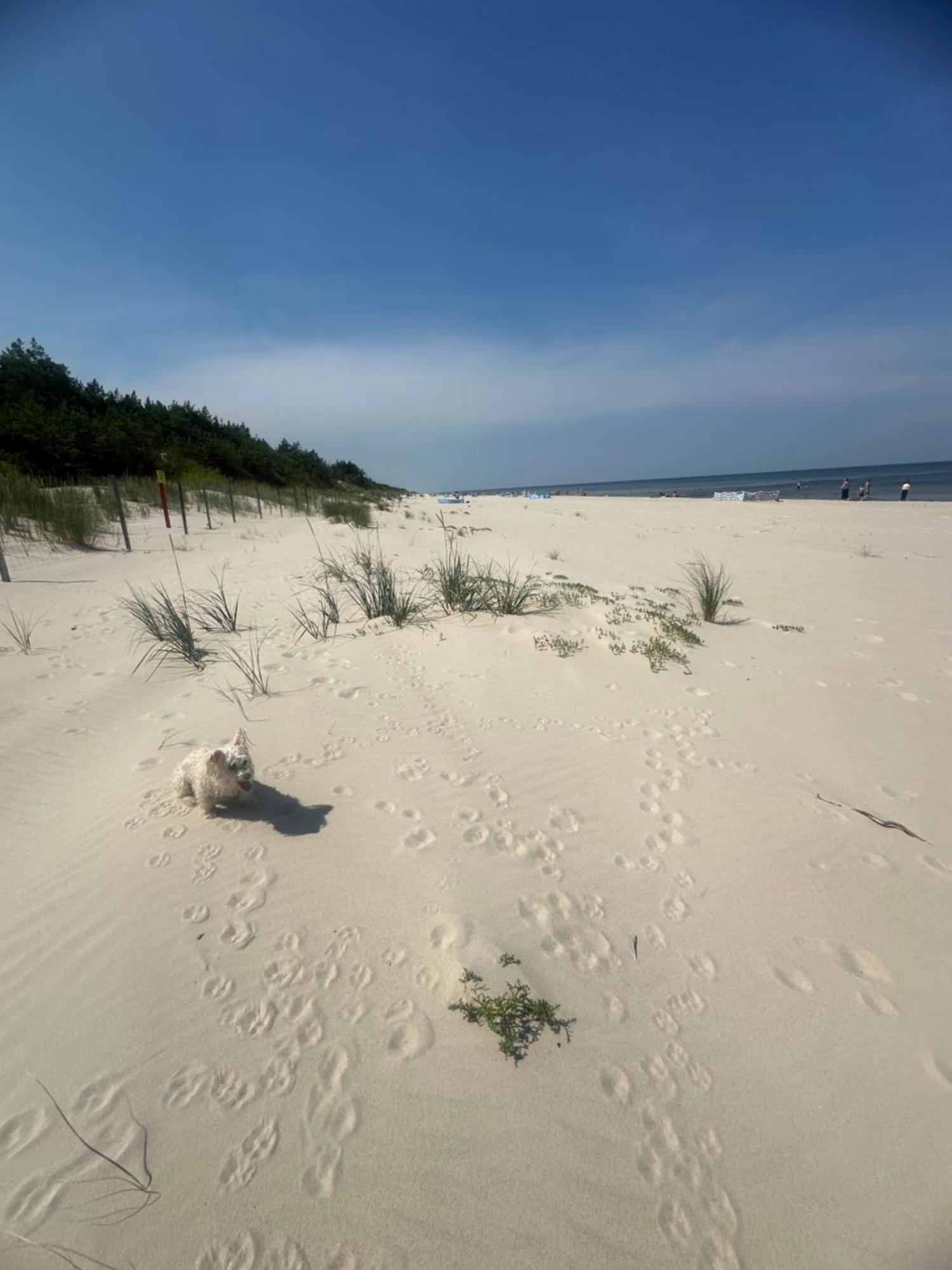 Baltic Holidays Gąski Екстериор снимка